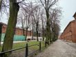 Przykładowe zdjęcia głównym aparatem
