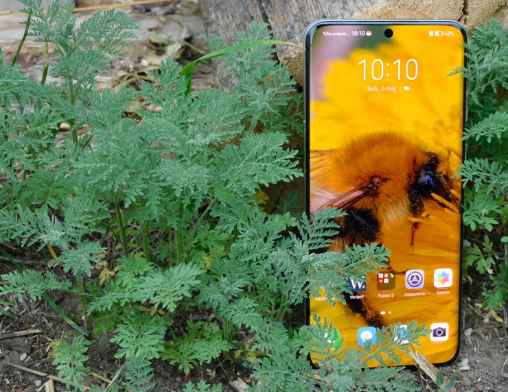 Huawei P60 Pro - wyświetlacz