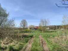 Zbliżenia z Huawei P60 Pro: 1x, 3x, 10x