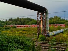 Zwykłe zdjęcie i zoom 2x