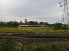 Zwykłe zdjęcie i zoom 2x