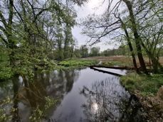 Szeroki kąt, obiektyw główny, zoom  Szeroki kąt, obiektyw główny, zoom