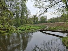 Szeroki kąt, obiektyw główny, zoom  Szeroki kąt, obiektyw główny, zoom