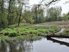 Szeroki kąt, obiektyw główny, zoom  Szeroki kąt, obiektyw główny, zoom
