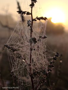 Nubia Focus Pro 5G - zdjęcia Nubia Focus Pro 5G - zdjęcia