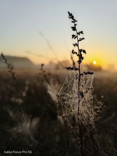 Nubia Focus Pro 5G - zdjęcia Nubia Focus Pro 5G - zdjęcia