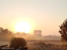 Nubia Focus Pro 5G - zdjęcia Nubia Focus Pro 5G - zdjęcia