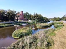 Nubia Focus Pro 5G - zdjęcia Nubia Focus Pro 5G - zdjęcia