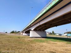 Nubia Focus Pro 5G - zdjęcia Nubia Focus Pro 5G - zdjęcia