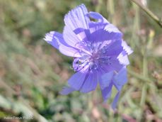 Nubia Focus Pro 5G - zdjęcia Nubia Focus Pro 5G - zdjęcia