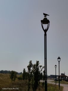 Nubia Focus Pro 5G - zdjęcia Nubia Focus Pro 5G - zdjęcia