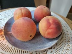 Nubia Focus Pro 5G - zdjęcia Nubia Focus Pro 5G - zdjęcia