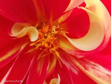 Nubia Focus Pro 5G - zdjęcia Nubia Focus Pro 5G - zdjęcia