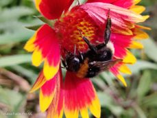 Nubia Focus Pro 5G - zdjęcia Nubia Focus Pro 5G - zdjęcia