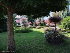 Nubia Focus Pro 5G - zdjęcia Nubia Focus Pro 5G - zdjęcia