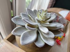 Nubia Focus Pro 5G - zdjęcia Nubia Focus Pro 5G - zdjęcia