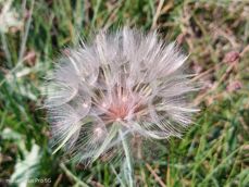 Nubia Focus Pro 5G - zdjęcia Nubia Focus Pro 5G - zdjęcia