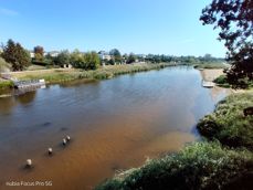 Nubia Focus Pro 5G - zdjęcia Nubia Focus Pro 5G - zdjęcia