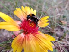 Nubia Focus Pro 5G - zdjęcia Nubia Focus Pro 5G - zdjęcia