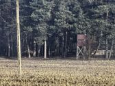 Zimny poranek, powiększenia: 1x, 2x, 4x i hybrydowe 10x