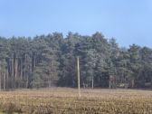 Zimny poranek, powiększenia: 1x, 2x, 4x i hybrydowe 10x