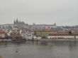 Zdjęcia dzienne