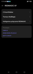 Nubia Red Magic 10 Pro - wybrane elementy ustawień
