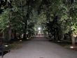 Zdjęcia nocne