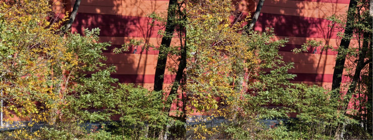 1x, powiększenia 2x, 4x i 10x; po lewej Pro, po prawej Ultra 1x, powiększenia 2x, 4x i 10x; po lewej Pro, po prawej Ultra