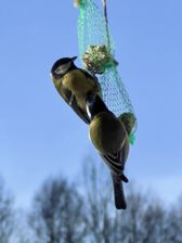 Huawei Mate X7 - przykładowe zdjęcia