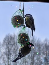 Huawei Mate X7 - przykładowe zdjęcia