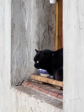 Huawei Mate X7 - przykładowe zdjęcia