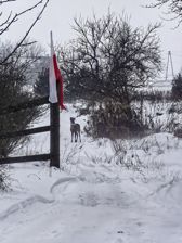 Huawei Mate X7 - przykładowe zdjęcia