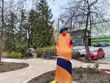 Zdjęcia z tylnego aparatu