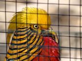 Vivo X300 Ultra i zwierzęta z płockiego ZOO