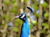 Vivo X300 Ultra i zwierzęta z płockiego ZOO