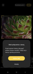 Vivo X300 Ultra - interfejs aparatów