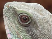 Mieszkańcy płockiego ZOO