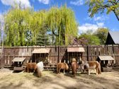 Mieszkańcy płockiego ZOO