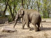 Mieszkańcy płockiego ZOO