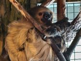 Mieszkańcy płockiego ZOO