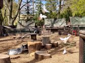 Mieszkańcy płockiego ZOO