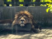 Mieszkańcy płockiego ZOO