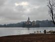 Przykładowe zdjęcia z Honora Magic7 Pro Przykładowe zdjęcia z Honora Magic7 Pro