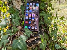 Infinix Note 50 Pro+ w pięknym otoczeniu, idealny dla miłośników natury. Infinix Note 50 Pro+ w pięknym otoczeniu, idealny dla miłośników natury.