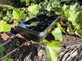 Ulefone Armor 34 Pro - stylowy design w naturalnym otoczeniu przyrody.