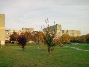 Przykładowe zdjęcie