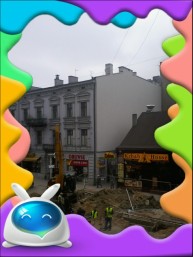 Królik bobo