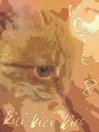 Przykładowe zdjęcie