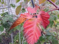 Przykładowe zdjęcie Przykładowe zdjęcie